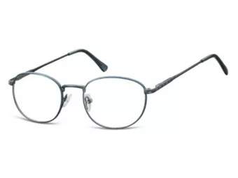 Berkeley datorglasögon 794 B
