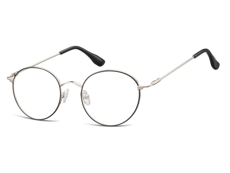 Berkeley datorglasögon 895A