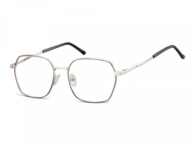 Berkeley datorglasögon 913E