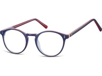 Berkeley datorglasögon AC43 F