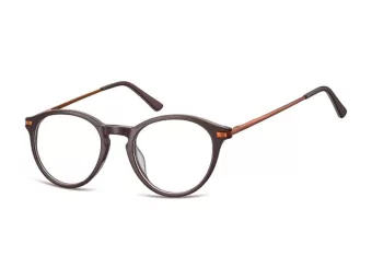 Berkeley datorglasögon AC50 C