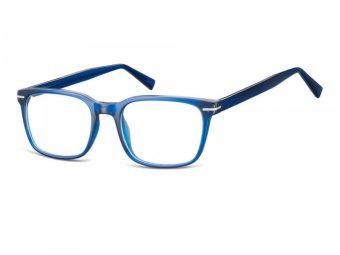 Berkeley datorglasögon CP119B