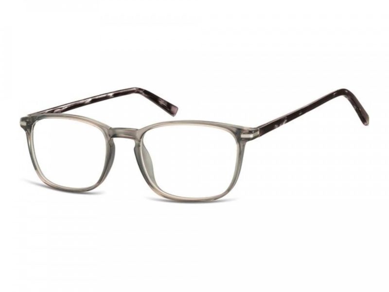 Berkeley datorglasögon CP120A