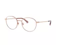 Dolce & Gabbana Glasögon DG 1322 1298