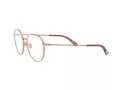 Dolce & Gabbana Glasögon DG 1322 1298