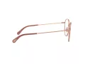 Dolce & Gabbana Glasögon DG 1322 1298