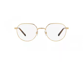 Dolce & Gabbana Glasögon DG 1349 02