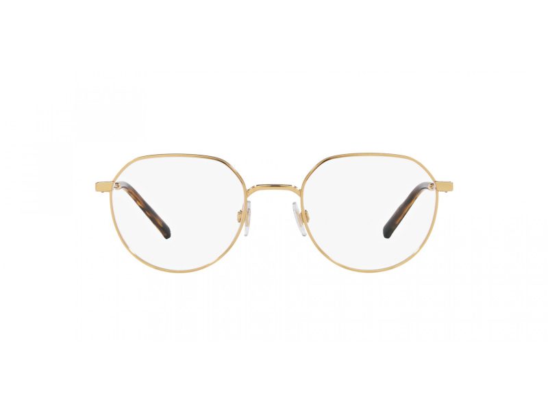 Dolce & Gabbana Glasögon DG 1349 02