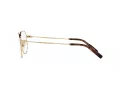 Dolce & Gabbana Glasögon DG 1349 02