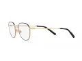 Dolce & Gabbana Glasögon DG 1349 1311