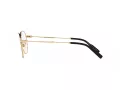 Dolce & Gabbana Glasögon DG 1349 1311