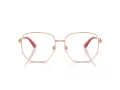Dolce & Gabbana Glasögon DG 1356 1298