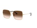 Dolce & Gabbana Solglasögon DG 2242 02/13