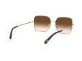 Dolce & Gabbana Solglasögon DG 2242 02/13