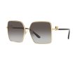 Dolce & Gabbana Solglasögon DG 2279 02/8G