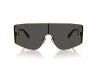 Dolce & Gabbana Solglasögon DG 2305 02/87