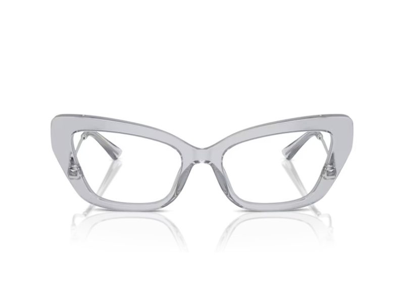 Dolce & Gabbana Glasögon DG 3391B 3291