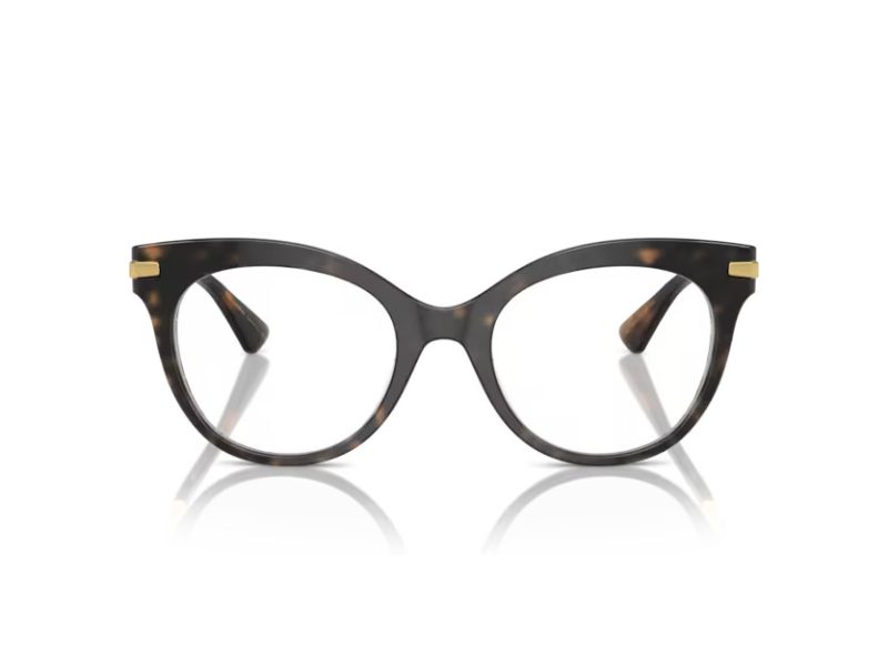 Dolce & Gabbana Glasögon DG 3392 3217