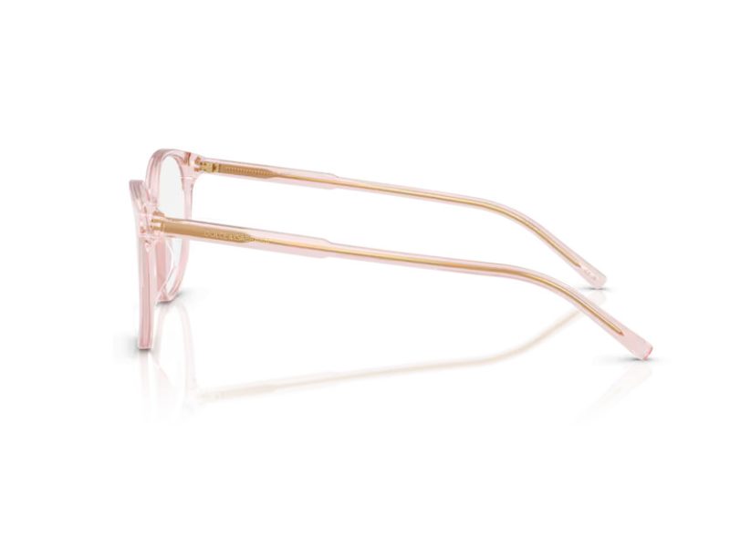 Dolce & Gabbana Glasögon DG 3425 3148