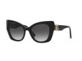 Dolce & Gabbana Solglasögon DG 4405 501/8G