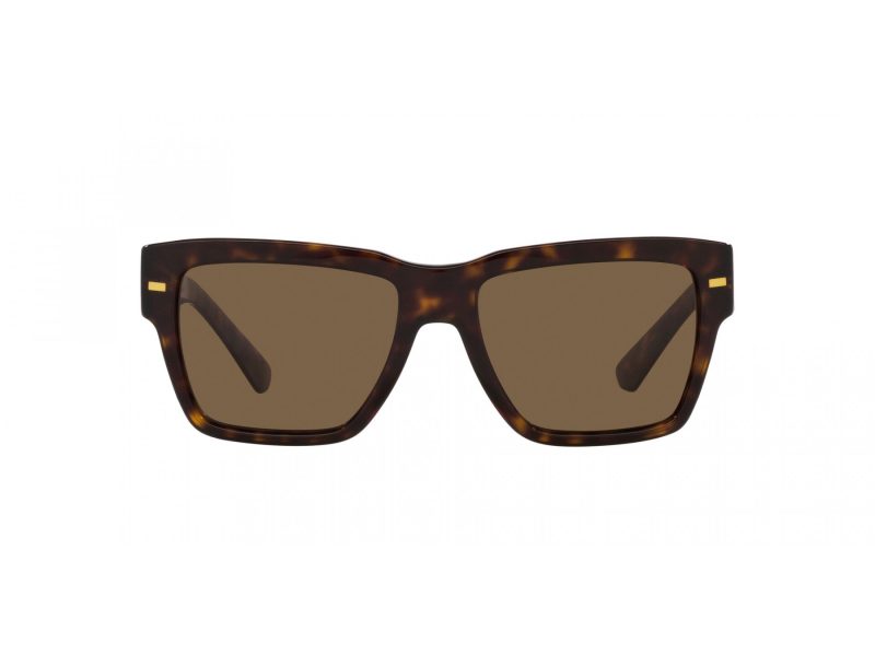 Dolce & Gabbana Solglasögon DG 4431 502/73