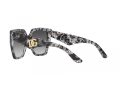 Dolce & Gabbana Solglasögon DG 4438 32878G