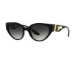 Dolce & Gabbana Solglasögon DG 6146 501/8G