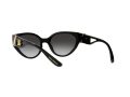 Dolce & Gabbana Solglasögon DG 6146 501/8G