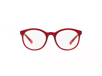 Dolce & Gabbana Kids Glasögon DX 5095 1551