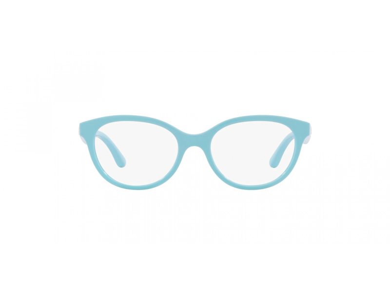 Dolce & Gabbana Kids Glasögon DX 5096 3134