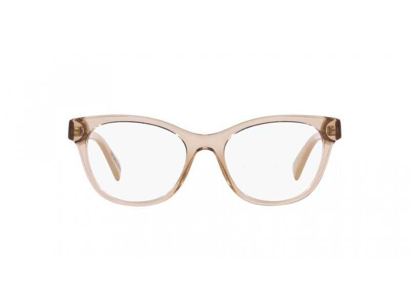 Emporio Armani Glasögon EA 3162 5850