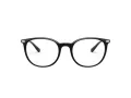Emporio Armani Glasögon EA 3168 5001