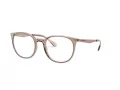 Emporio Armani Glasögon EA 3168 5850