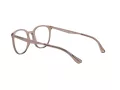Emporio Armani Glasögon EA 3168 5850