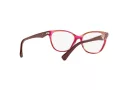 Emporio Armani Glasögon EA 3172 5021