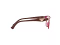 Emporio Armani Glasögon EA 3172 5021