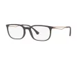 Emporio Armani Glasögon EA 3174 5437