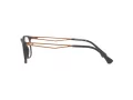 Emporio Armani Glasögon EA 3174 5437