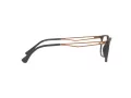 Emporio Armani Glasögon EA 3174 5437