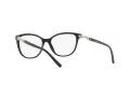 Emporio Armani Glasögon EA 3190 5001