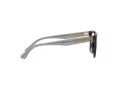 Emporio Armani Glasögon EA 3208 5017