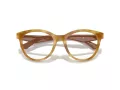 Emporio Armani Glasögon EA 3236 6115