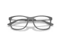 Emporio Armani Glasögon EA 3247 6205