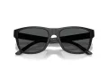 Emporio Armani Glasögon EA 3259 6261
