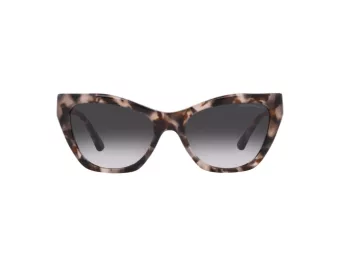 Emporio Armani Solglasögon EA 4176 54108G