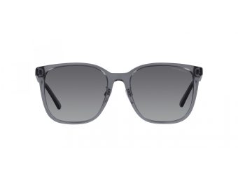 Emporio Armani Solglasögon EA 4206D 5029T3