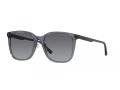 Emporio Armani Solglasögon EA 4206D 5029T3