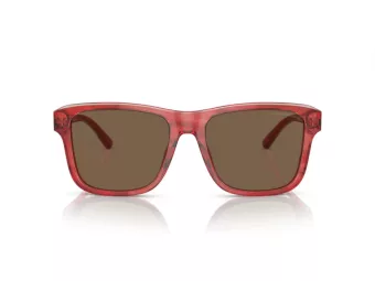 Emporio Armani Solglasögon EA 4208 605373