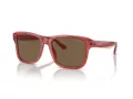 Emporio Armani Solglasögon EA 4208 605373