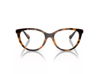 Emporio Armani Glasögon EA 0EA4213U 50261W